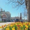 Discovery Tour-Niagara Falls to Niagara-on-the-Lake - Image 2