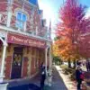 Discovery Tour-Niagara Falls to Niagara-on-the-Lake - Image 3