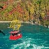 Discovery Tour-Niagara Falls to Niagara-on-the-Lake - Image 6
