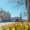 Friends Day Out - Niagara on the Lake - Image 4